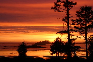 Window Cleaning Tofino & Ucluelet